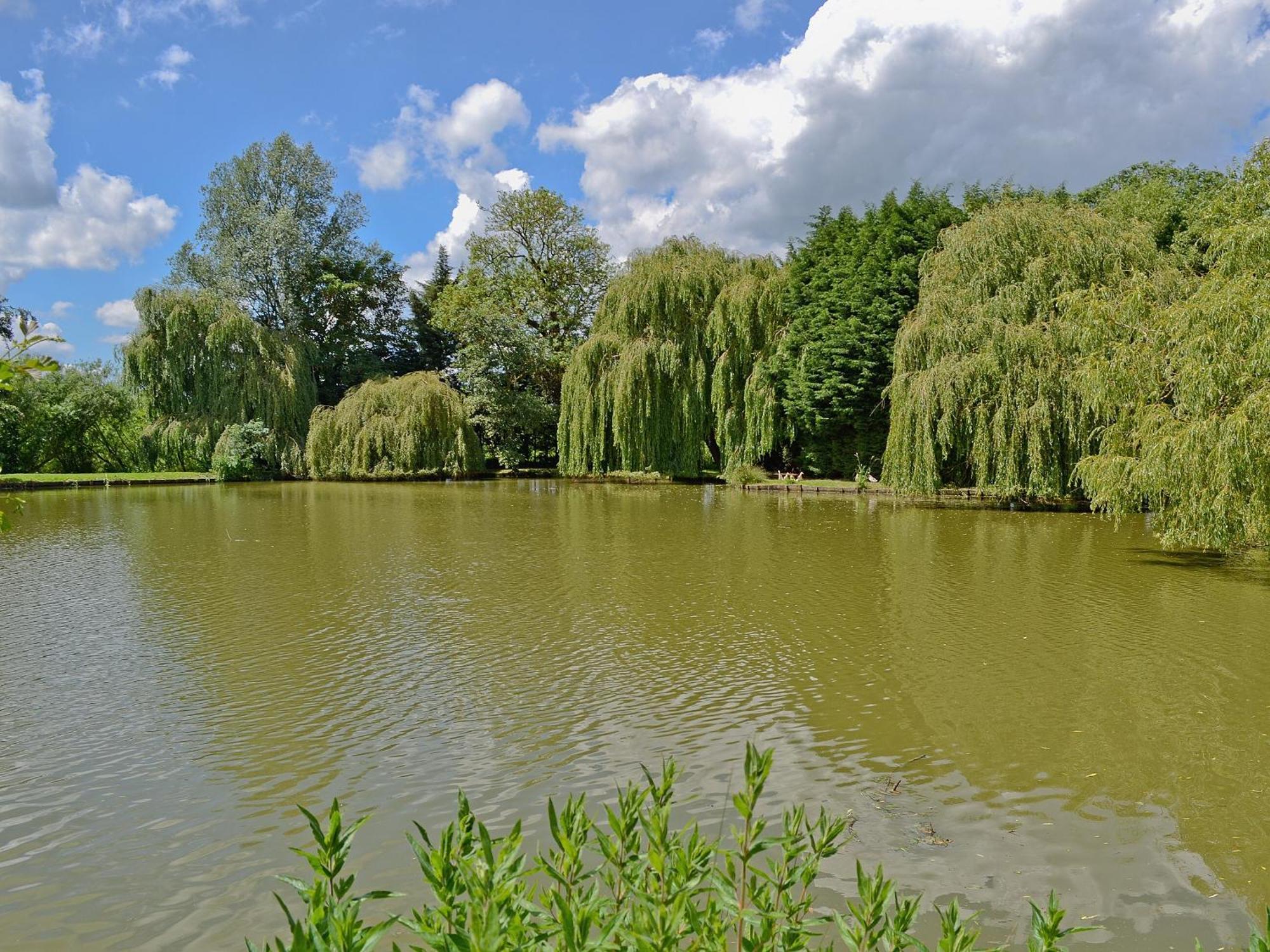 Finchingfield Lake House Cottage מראה חיצוני תמונה